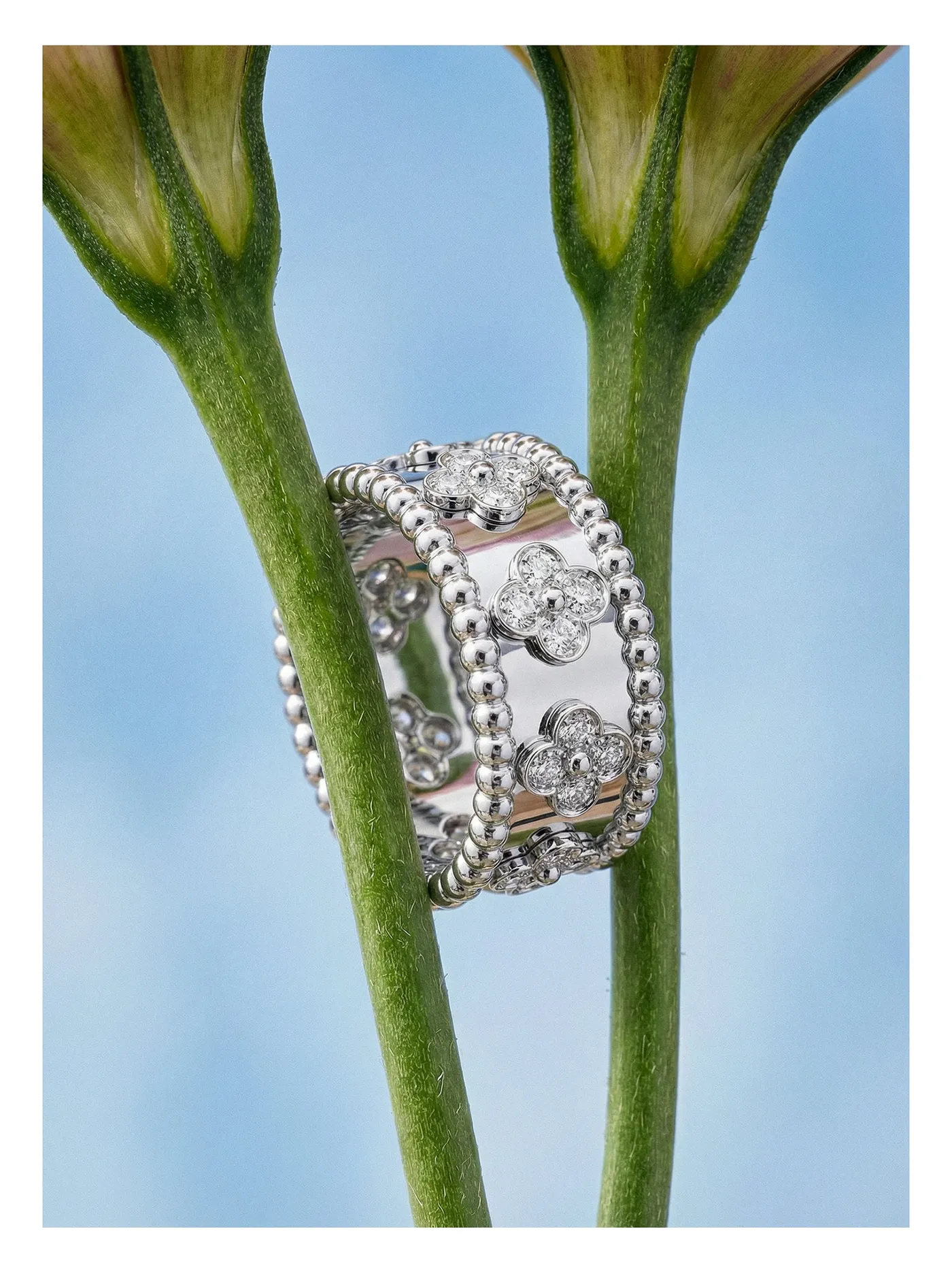 Jewelry 09 (2)