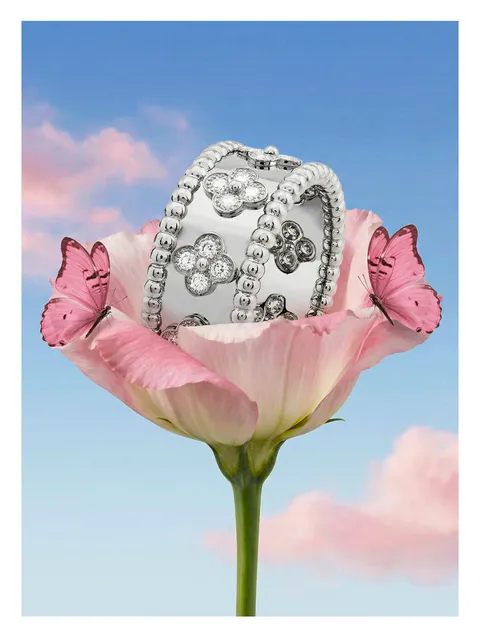 Jewelry 24
