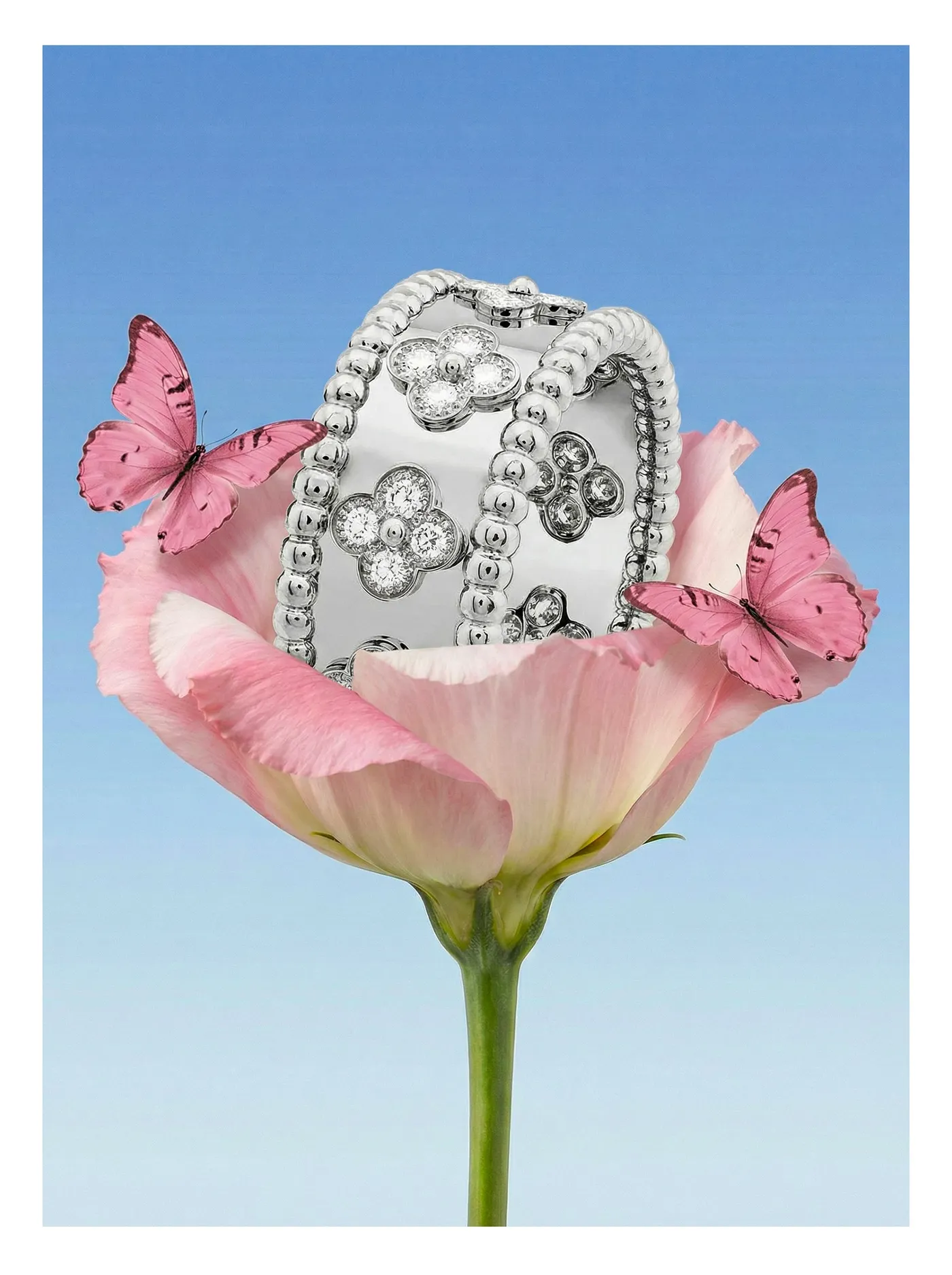 Jewelry 24