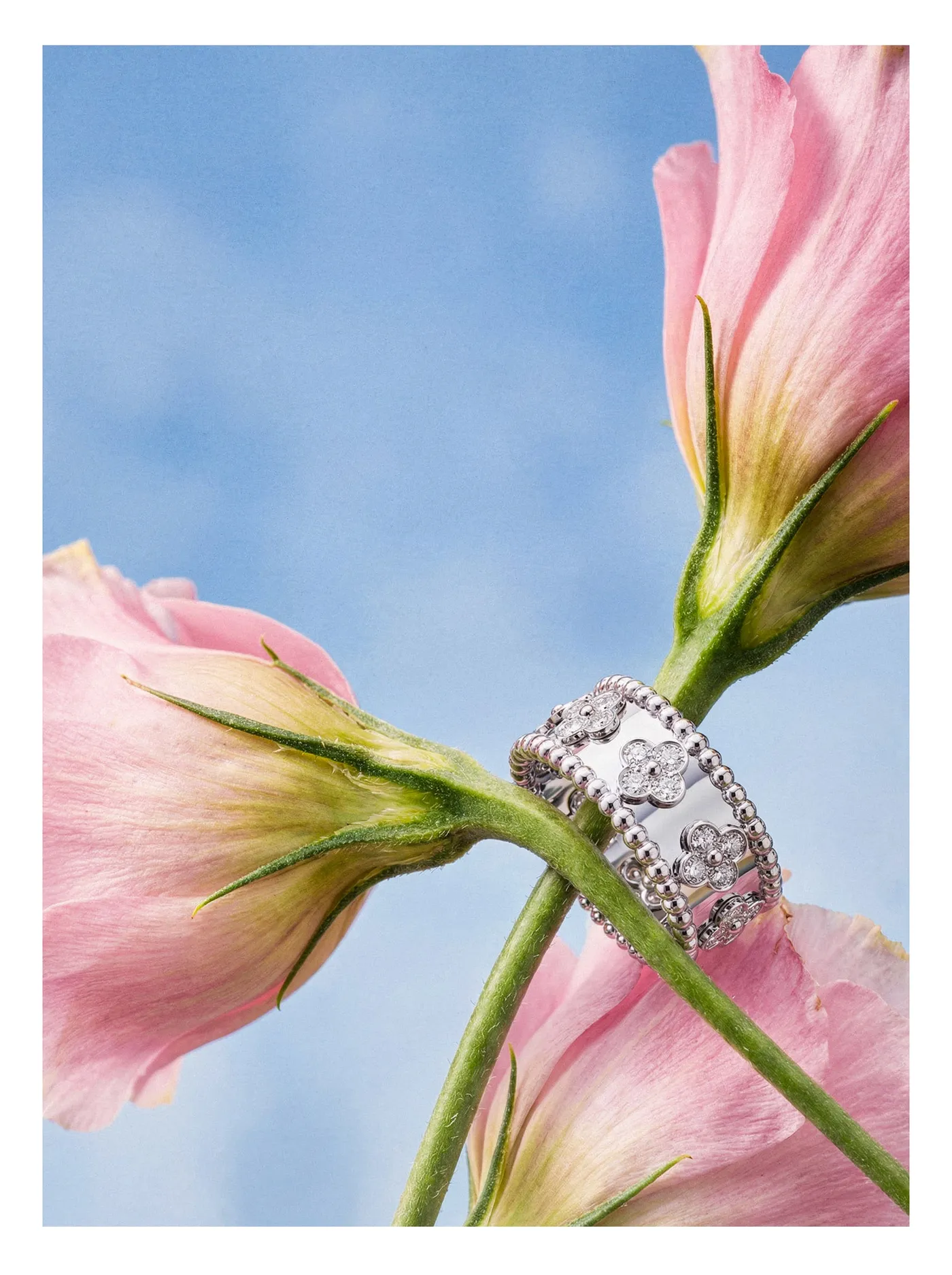 Jewelry 09 (2)