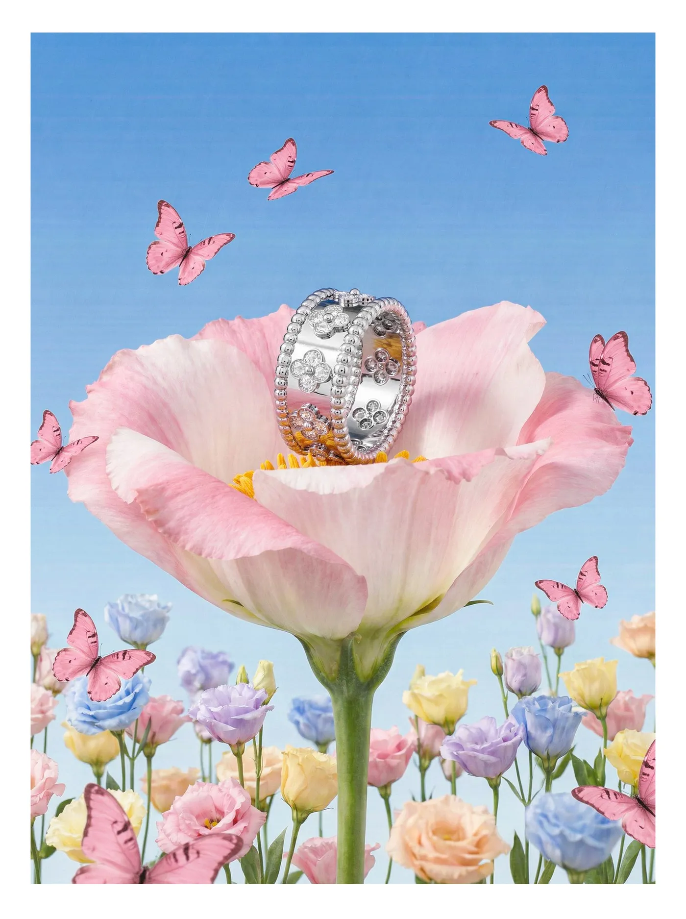 Jewelry 24