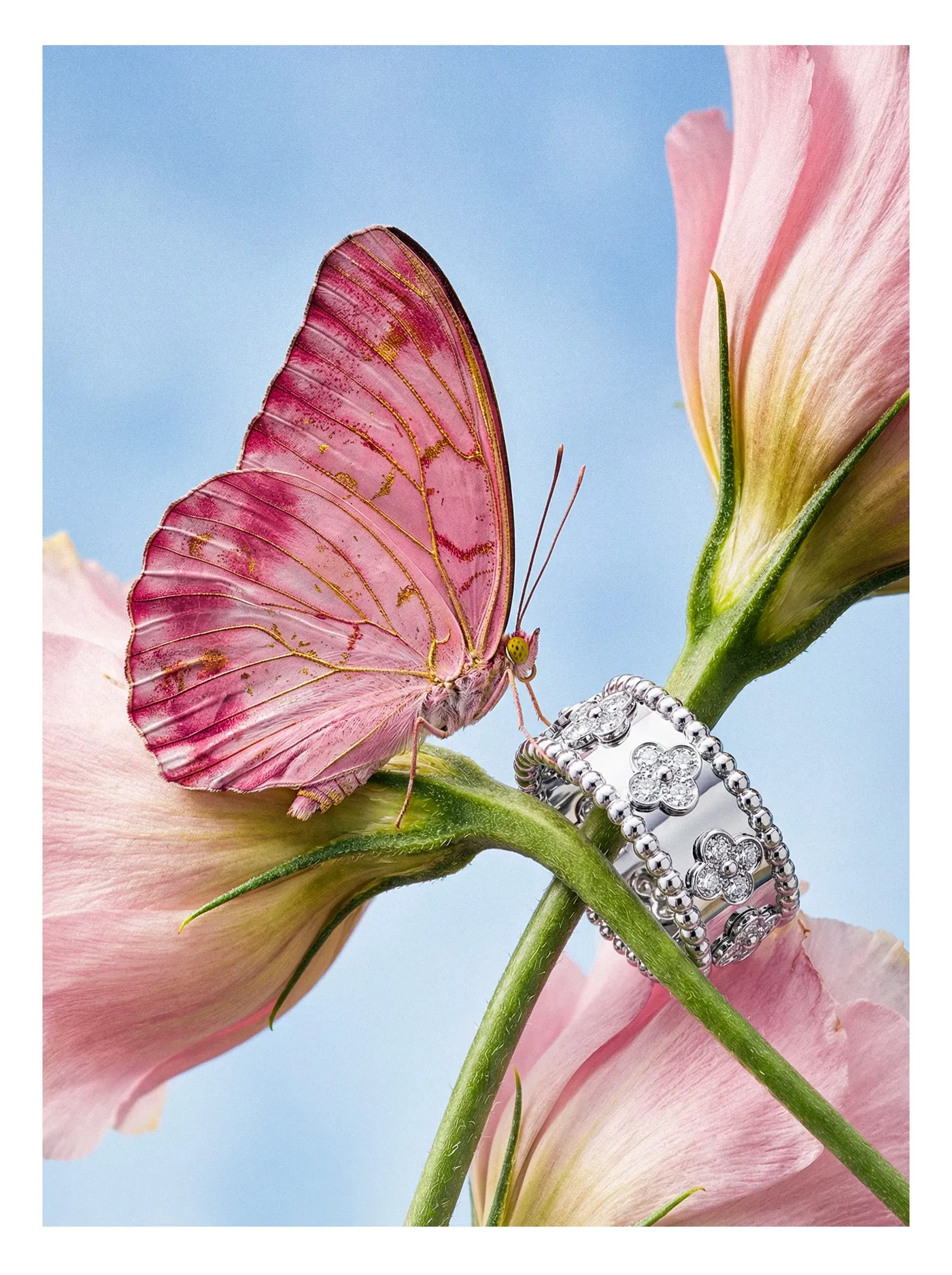 Jewelry 09 (2)