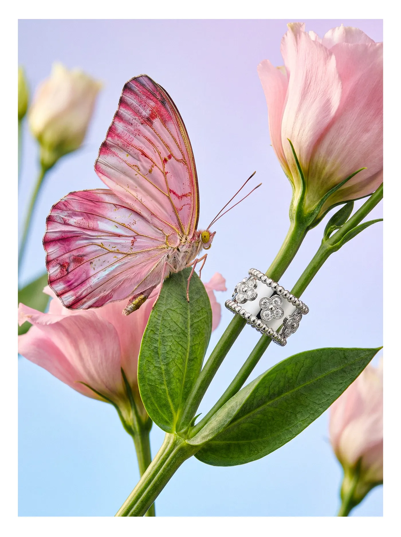 Jewelry 09 (2)