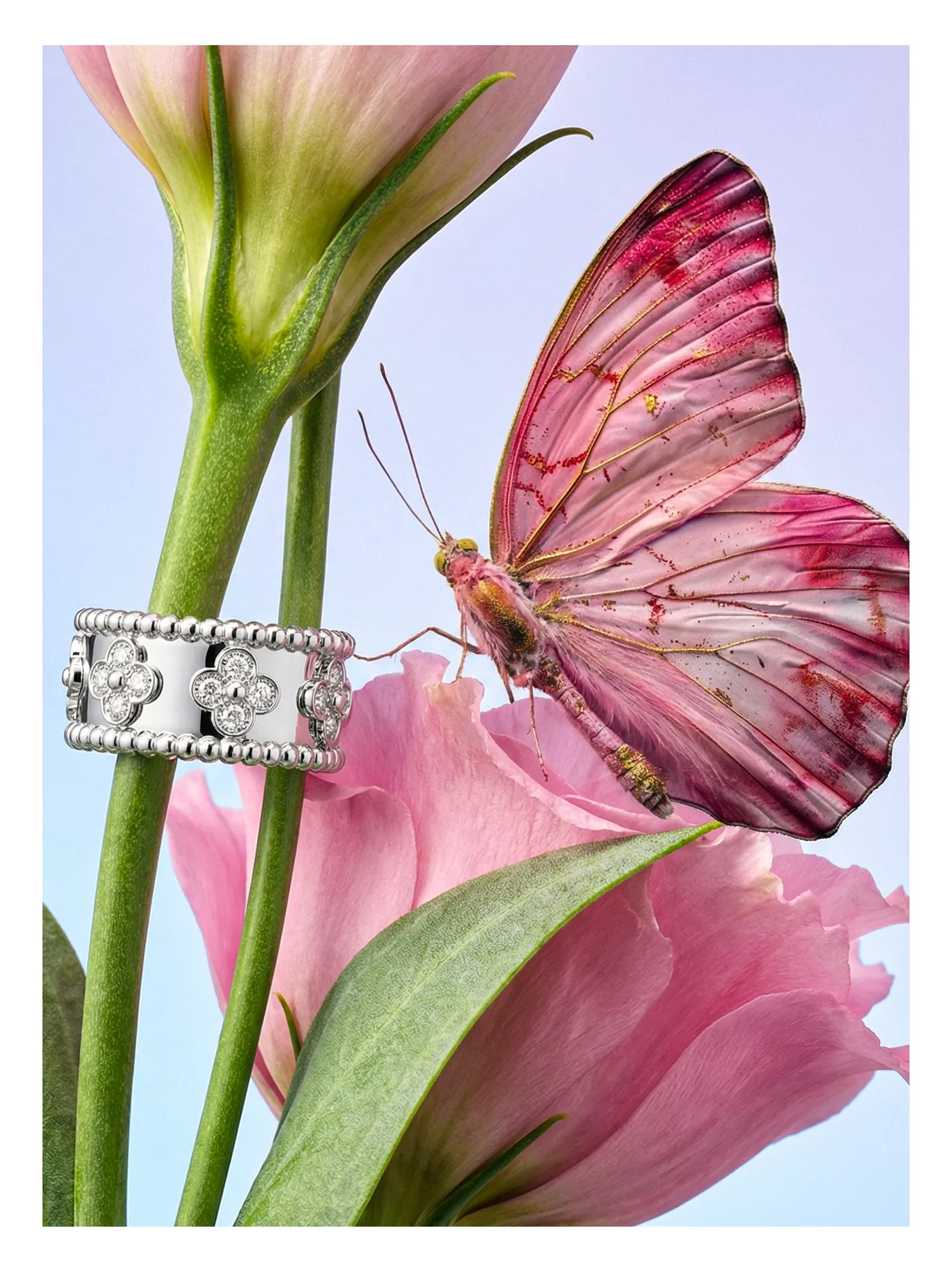 Jewelry 09 (2)