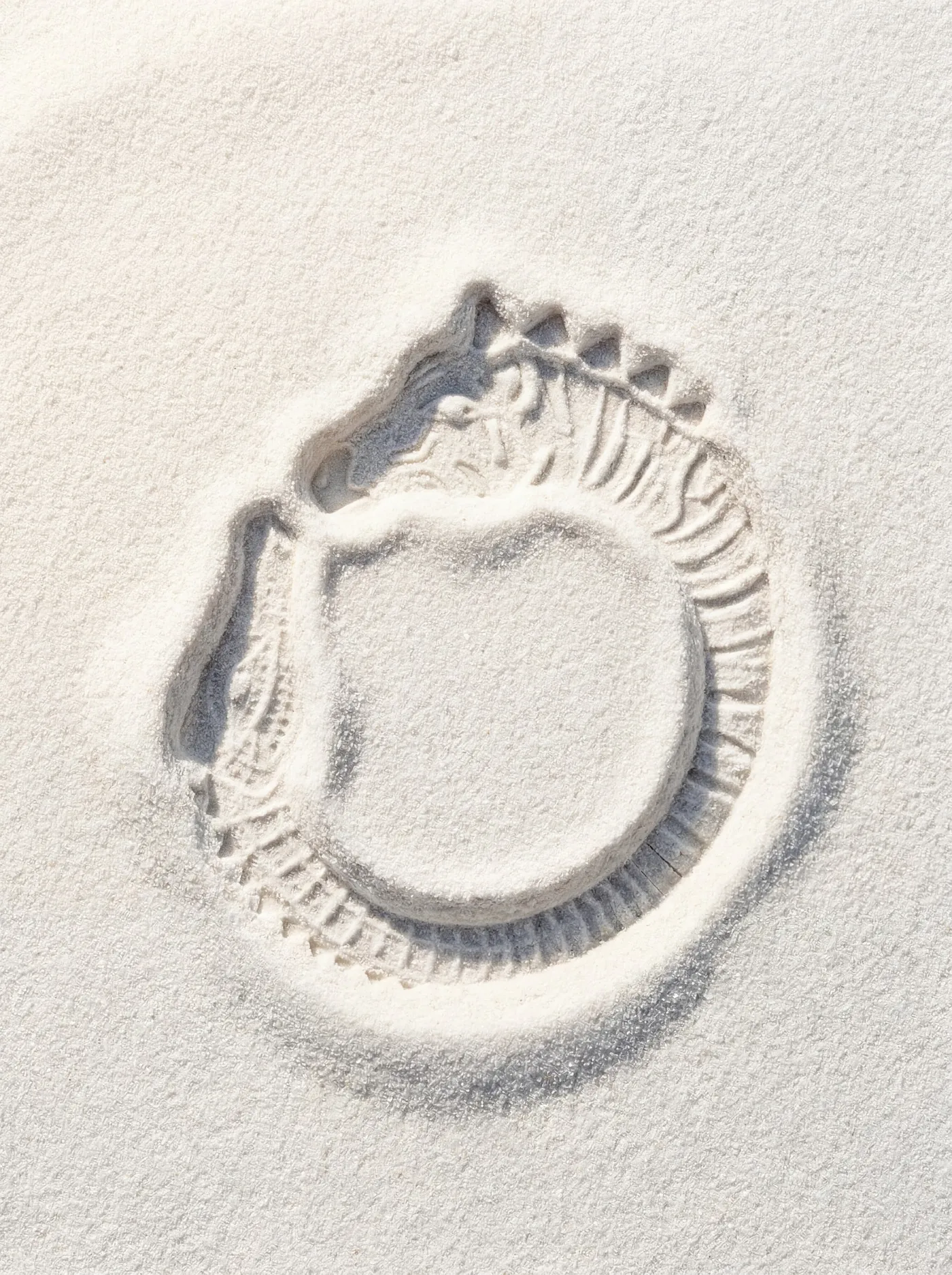 Jewelry 06