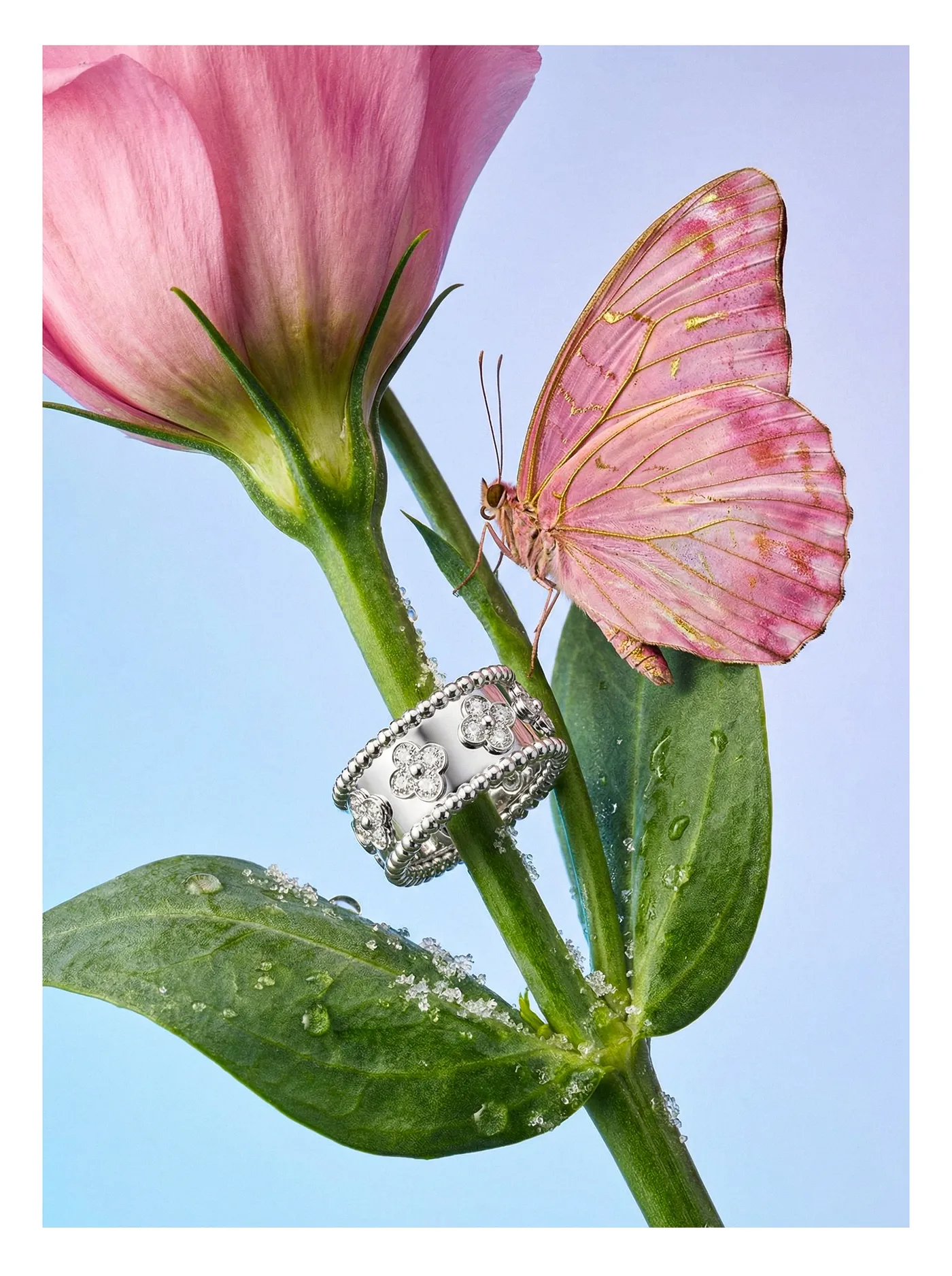 Jewelry 09 (2)